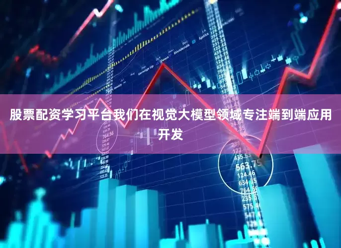股票配资学习平台我们在视觉大模型领域专注端到端应用开发