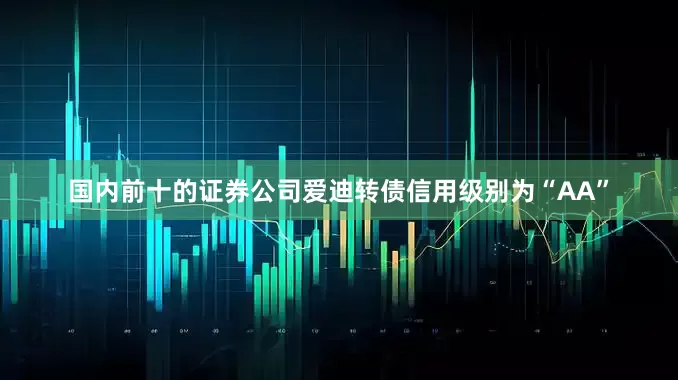 国内前十的证券公司爱迪转债信用级别为“AA”